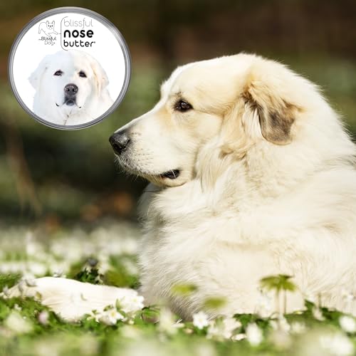 Great Pyrenees Unscented Nose Butter (Great Pyrenees / 16 Ounce)