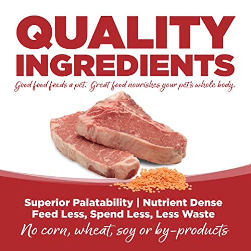 Pure Vita Limited Ingredient Grain Free Dry Dog Food (12 Pound (Pack of 1))