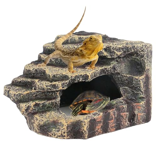 Medium Turtles Basking Platform