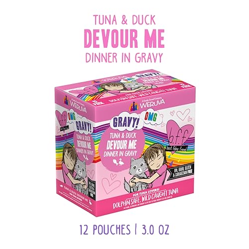 B.F.F. OMG Best Feline Friend Oh My Gravy! (3 Ounce (Pack of 12))