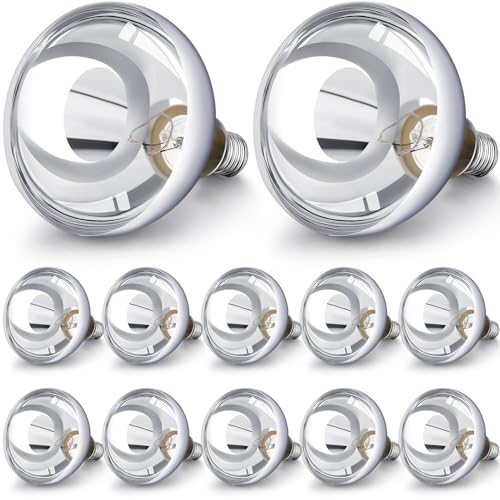 12 Pack Heat Lamp Bulbs 250 Watt (Silver)