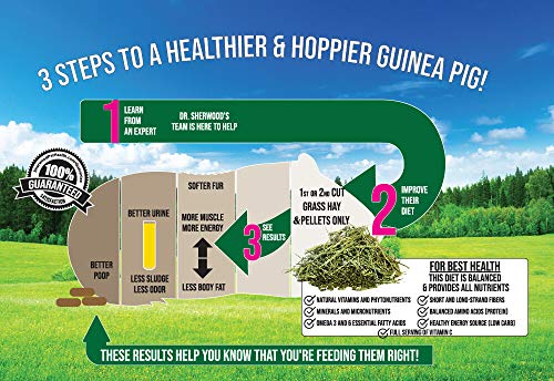 Adult Guinea Pig Food Measured Timothy Pellet (4.5 Pound (Pack of 1))