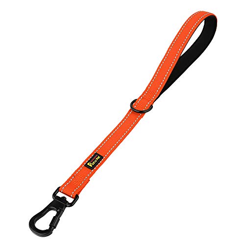 Short Training Dog Leash with Padded Handle for Medium Large Big Dogs (Orange / 18 Inch (Pack of 1))