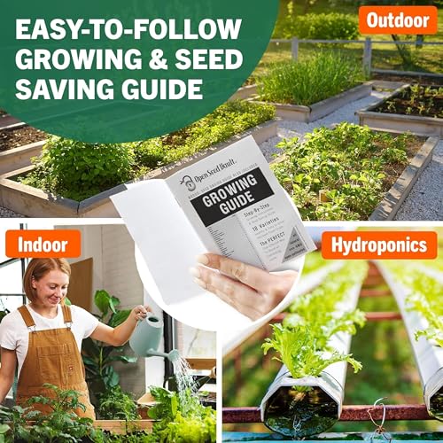 Herb Seeds 12 Packs