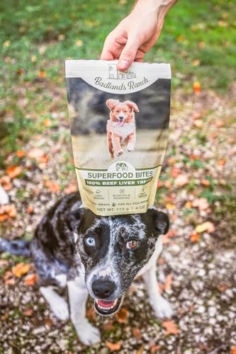 Superfood Bite Beef Liver Dog Treats (4 Ounce (Pack of 4))