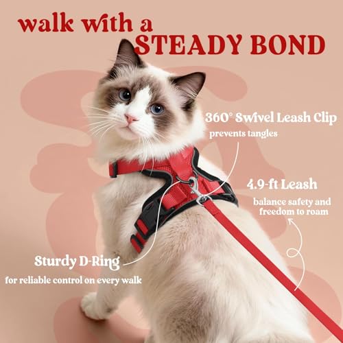 Cat Harness and Leash Set (M / Red)