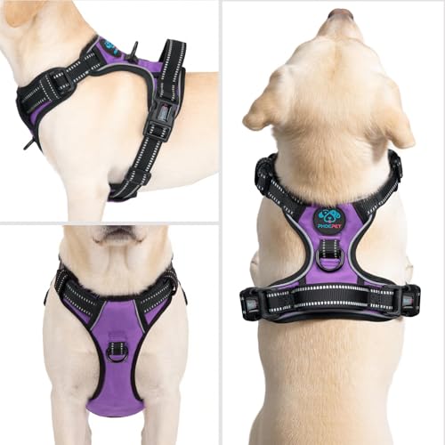 No Pull Dog Harness Medium Reflective Front Clip Puppy Vest (Medium / Purple)
