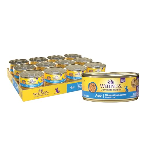 Complete Health Pate Adult Canned Wet Cat Food (5.5 Ounce (Pack of 24))