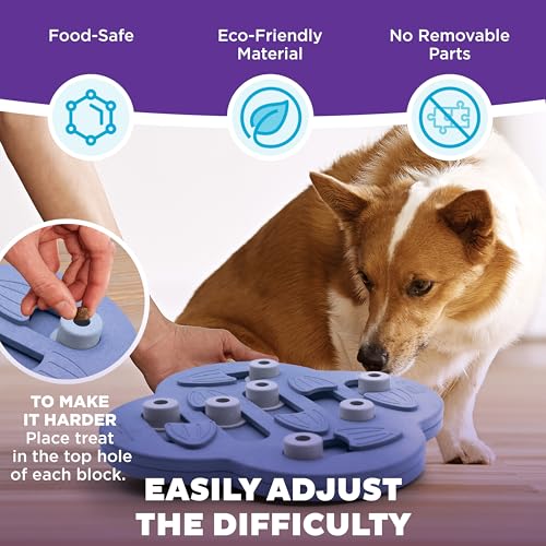 Nina Ottosson Dog Hide N' Slide Dog Toy Treat Puzzle