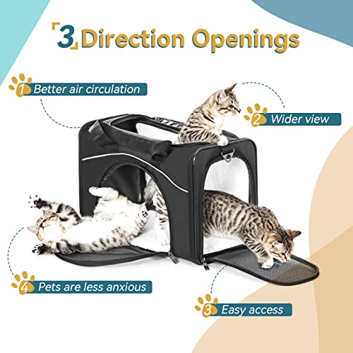 Two Way Placement Pet Carrier Airline Approved (Black / 19.0"L x 9.5"W x 12.0"H)