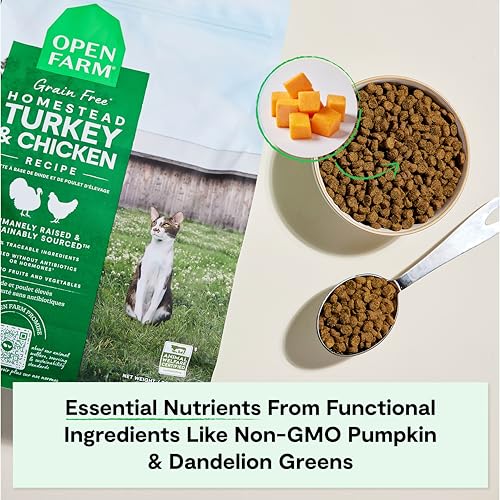 Grain Free Dry Cat Food (4 Pound (Pack of 1))