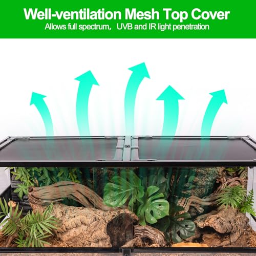 48''x24''x18'' Glass Reptile Terrarium (Large)