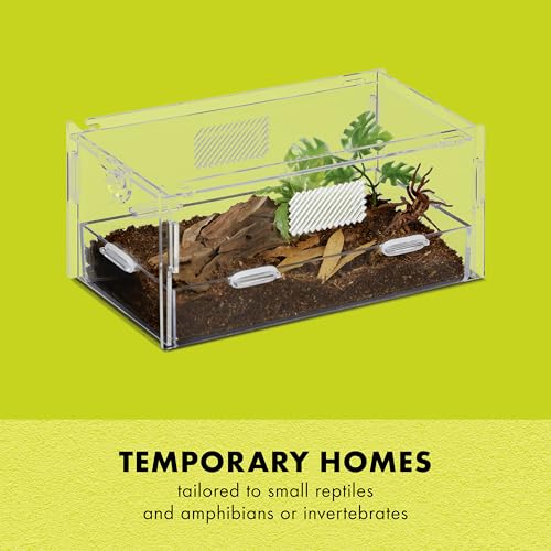 Micro Habitat Terrarium (Small / Terrestrial / Clear)