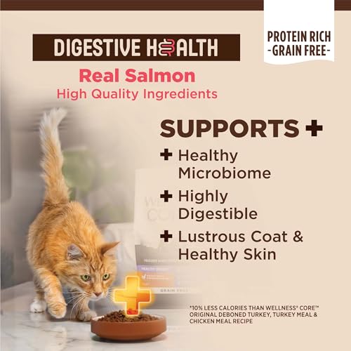 CORE+ Digestive Health Adult Dry Cat Food (11 Pound (Pack of 1))