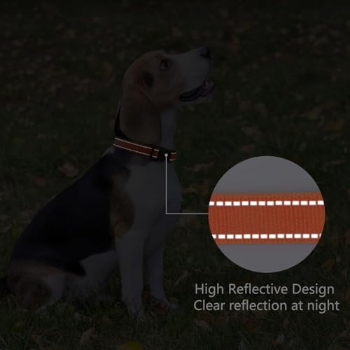 Reflective Dog Collar (Tangerine / XS:width 5/8"neck 8-10.5")
