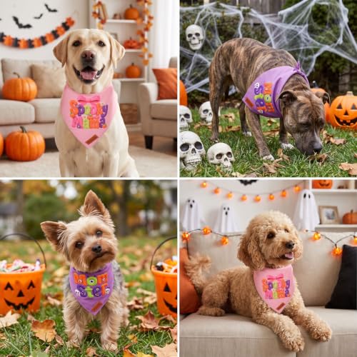Halloween Dog Bandanas Girl (Small / Halloween-1)