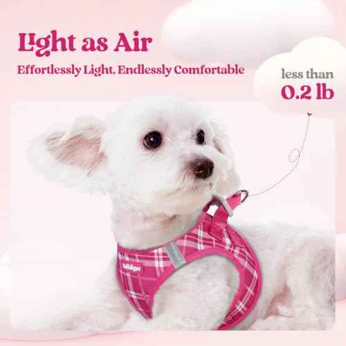 Dog Harness Small Sized and Leash Set (Rose Red Plaid / Xxs (chest: 12.4 - 14.2"))