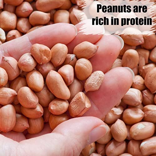 Wildlife Shelled Peanuts (25 Pound (Pack of 1) / Shelled)