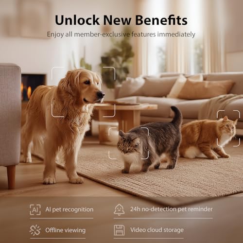 Automatic Cat Feeder with Camera