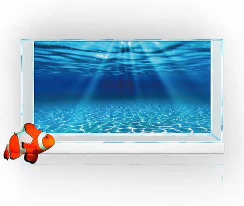 Natural Undersea Aquarium Background (48X20in/120X50cm / Ocean)