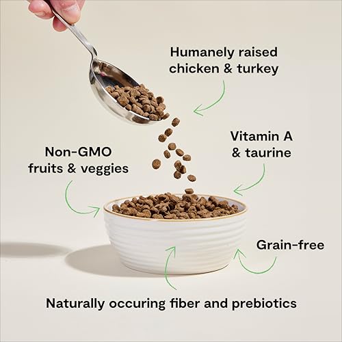 Grain Free Dry Kitten Food (4 Pound (Pack of 1))