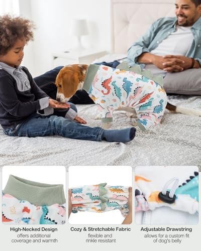 Dinosaur Costume Dog Pajamas (Medium / Dinos#12)