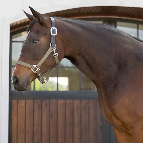 Loki Adjustable Breakaway Horse Halter (Light Olive / Horse)