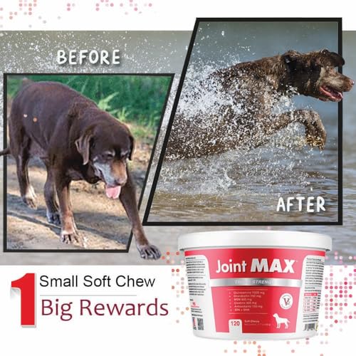 TS Joint Supplement Vet Formulated Pain & Inflammation Relief Treats Hip Dysplasia & Arthritis (120 Soft Chews)