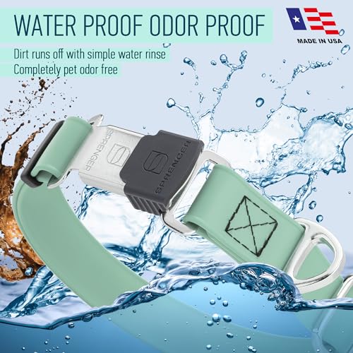 Biothane Waterproof Dog Collar with Herm Sprenger Black Stainless Steel Quick Release Buckle (W 1" x L 15"-25" / Sage Green)