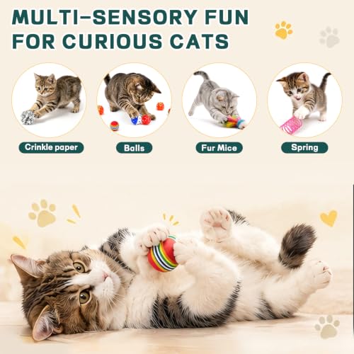 25 Pcs Cat Toys Set