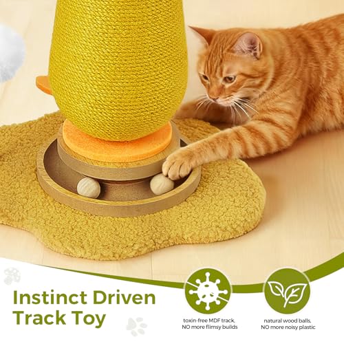 Kitten Toys for Indoor Cats Scratching Post