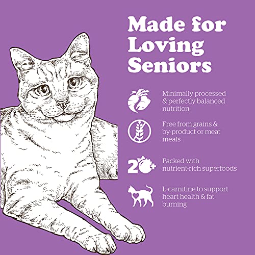 Senior Dry Cat Food (3 Pound (Pack of 1))