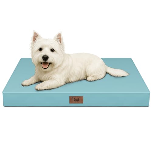 Waterproof Orthopedic Dog Crate Bed for Small Dogs & Cats (Light Blue / 23.0"L x 17.0"W x 2.5"Th)