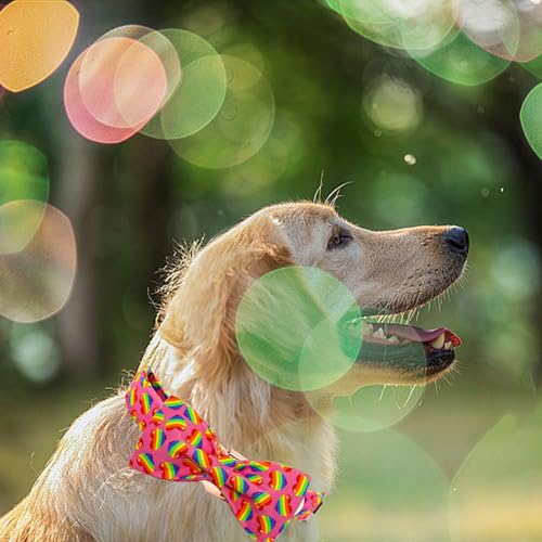Dog Collar LGBT Rainbow Pet Collars with Bow Large (Rainbow Heart / Large (Pack of 1))