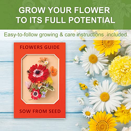 Indoor Daisy Garden Starter Kit with Gardening Tools