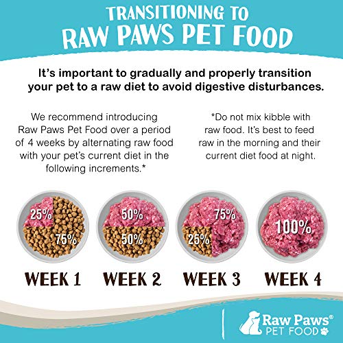 Frozen Raw Beef Recipe Dog & Cat Food (1 Pound (Pack of 10))