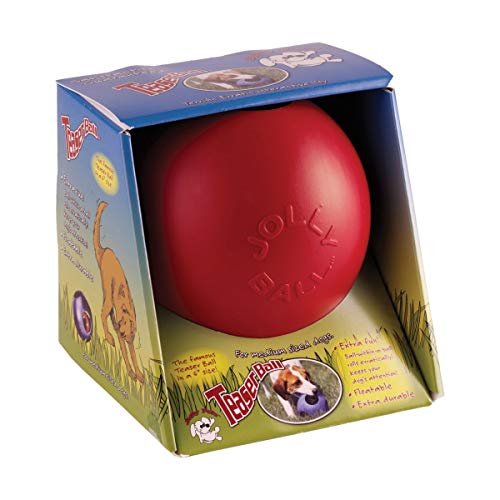 Teaser Ball Interactive Dog Toy (Blue / Medium (6 in))