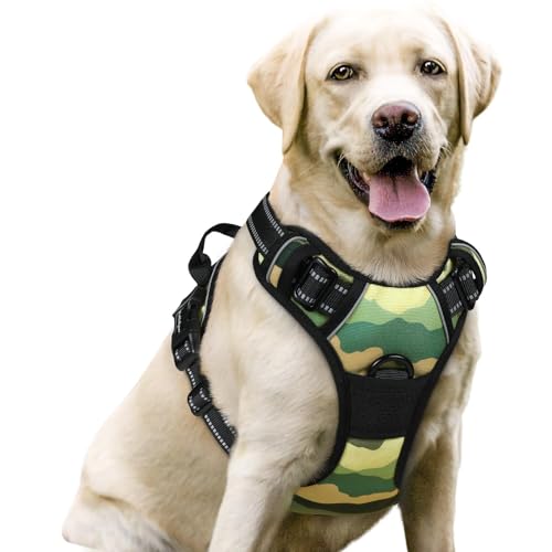Dog Harness No Pull for Large Dogs with 2 Leash Clips (Large / Green Mountain)