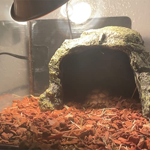 Reptile Rock Hideout Cave (hideout)