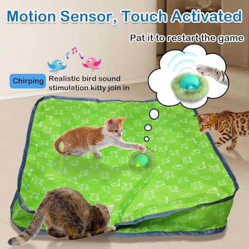 Interactive Cat Toys for Indoor Cats (green)