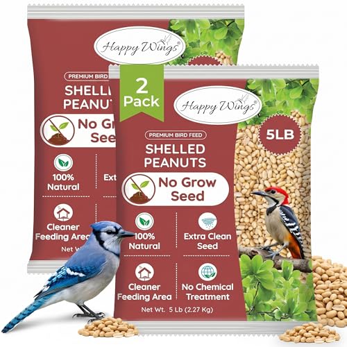 10LB Shelled Peanuts Bird Food (5 Pound (Pack of 2))
