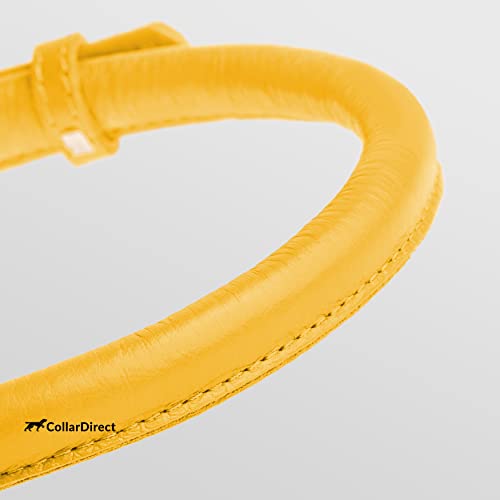 Tangle Free Rolled Leather Dog Collar (Yellow / XS)