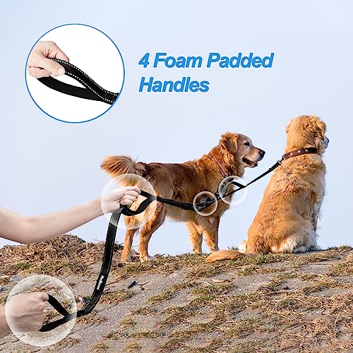 Double Dog Leash (Black)