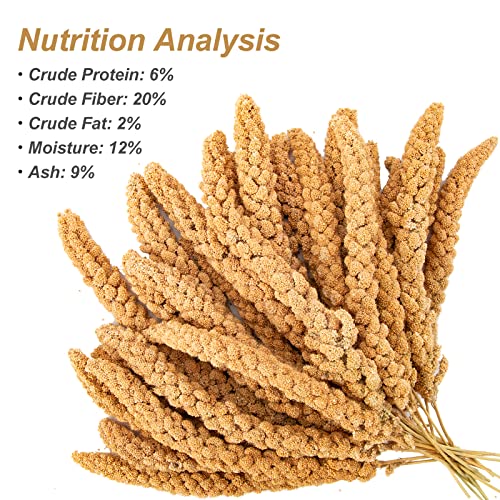 5.5LB Spray Millet for Parakeets