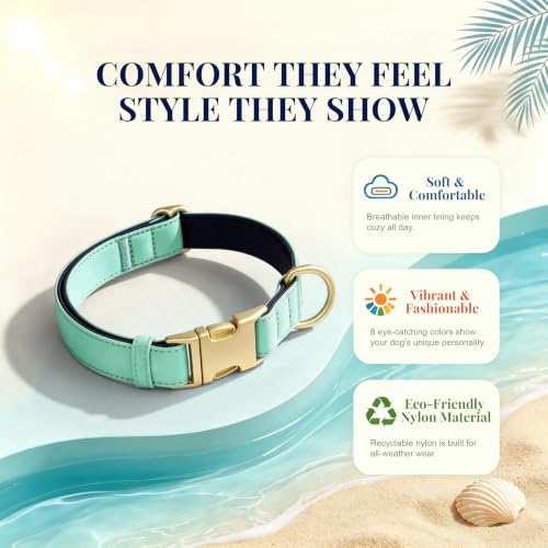 Soft Padded Dog Collar for Medium Dogs (Teal / M：Fit 14-18" Neck, Width ¾")