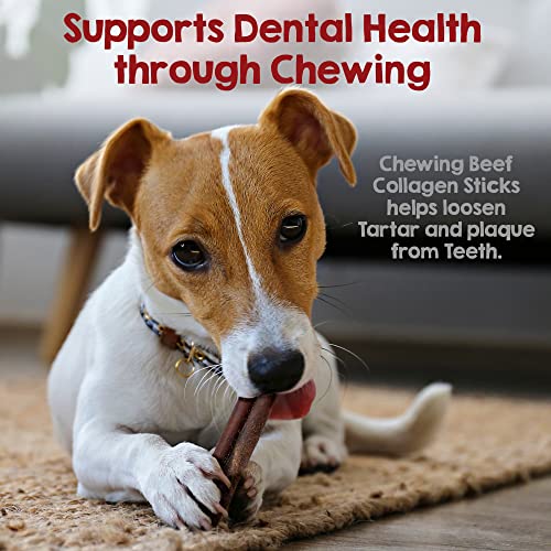 12" Beef Collagen Sticks for Dogs