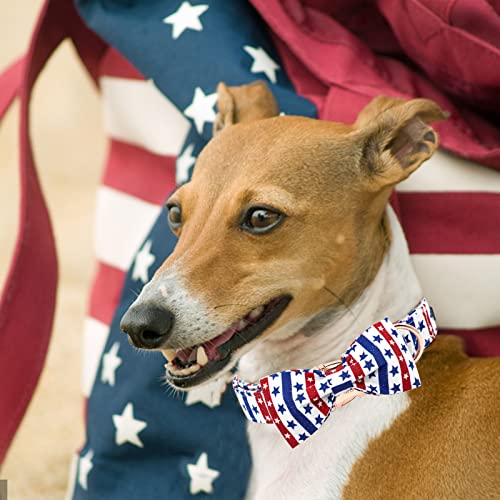 Independence Dog Collar (American Flag / X-Large (Pack of 1))