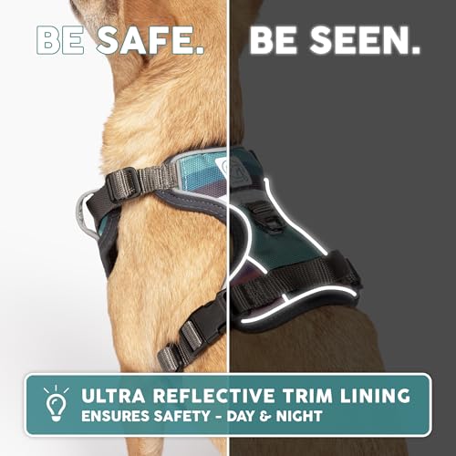 Embark No Pull Dog Harness (S / Baja)