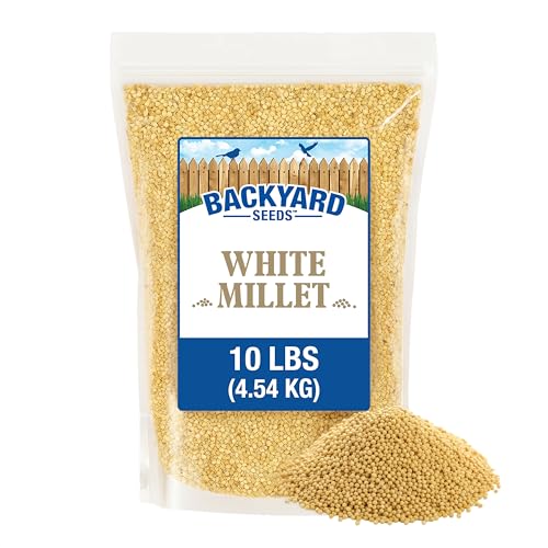 10LB White Proso Millet Bird Seed for Wild Birds & Finches (White Millet / 10 Pound (Pack of 1))