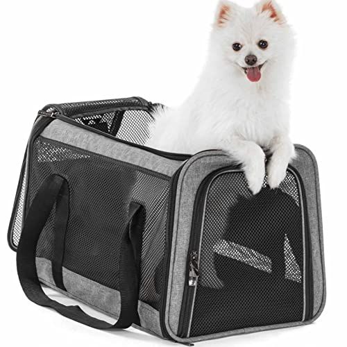 Large Cat Car Carrier (19.0"L x 12.0"W x 12.0"H / Z-Gray)